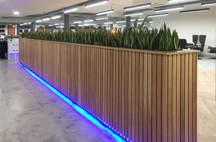 Sleek Wooden Partition with Tall Plants and LED Lighting Enhances Cafe Ambiance