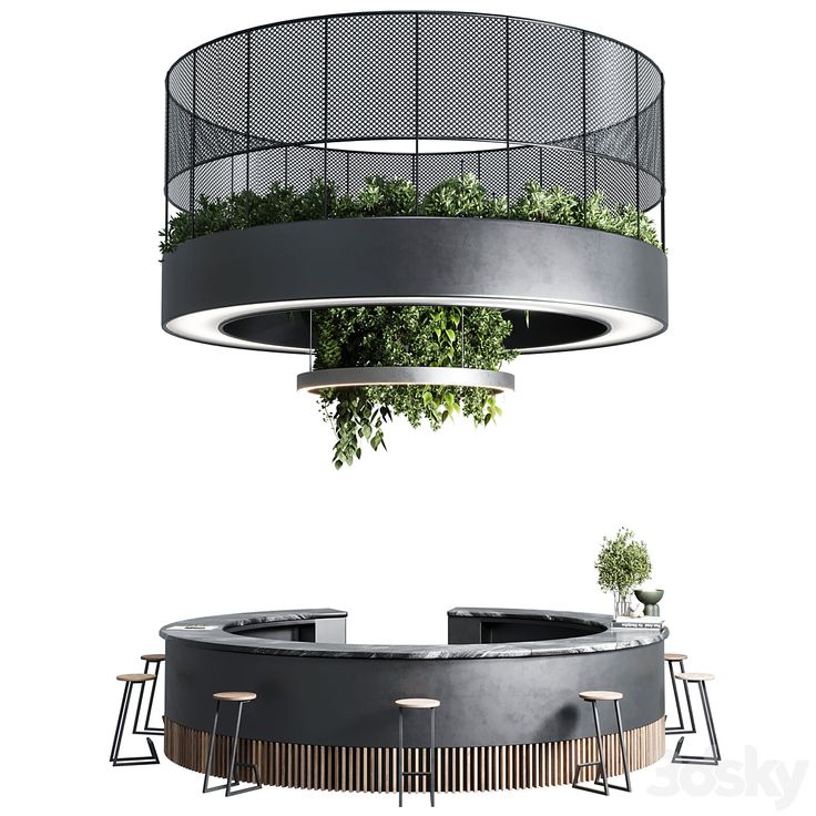 Contemporary Cafe Design: Striking Circular Counter and Organic Greenery Fusion