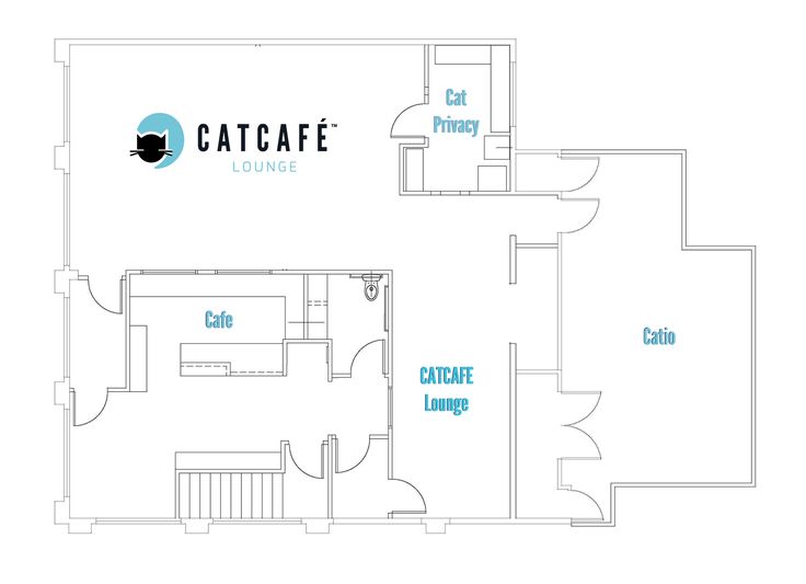 Cat Cafe Design: A Harmonious Layout for Cats and Guests