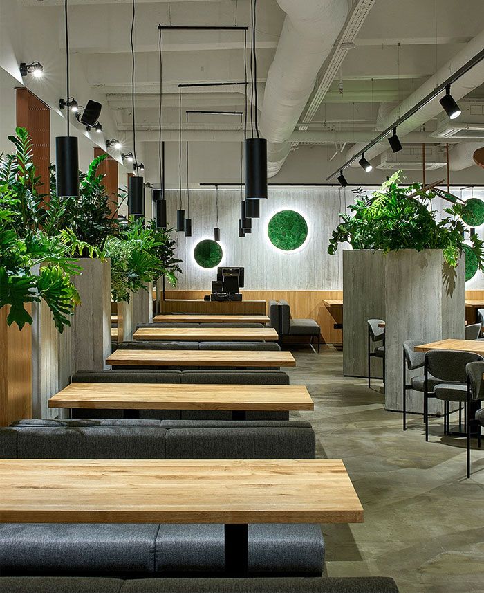 Contemporary Cafe Design: A Harmonious Blend of Nature and Modern Aesthetics