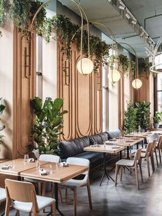 Modern Cafe Design: Cozy Atmosphere with Natural Elements and Contemporary Style