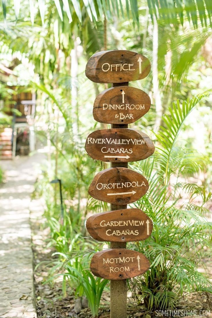 Tropical Cafe Design with Rustic Signage Enhances Guest Experience in Serene Natural Setting