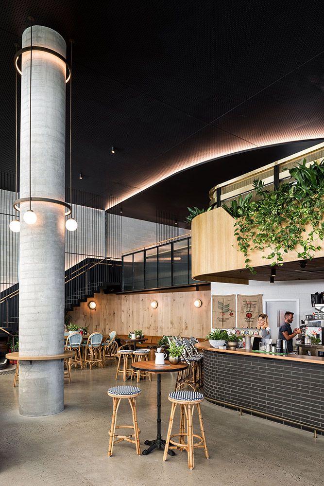 Inviting Modern Cafe Design with Industrial and Natural Elements