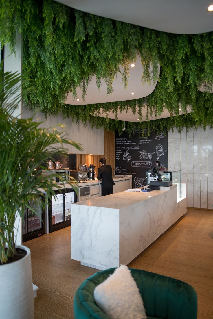 Modern Cafe Design: A Harmonious Blend of Nature and Contemporary Style