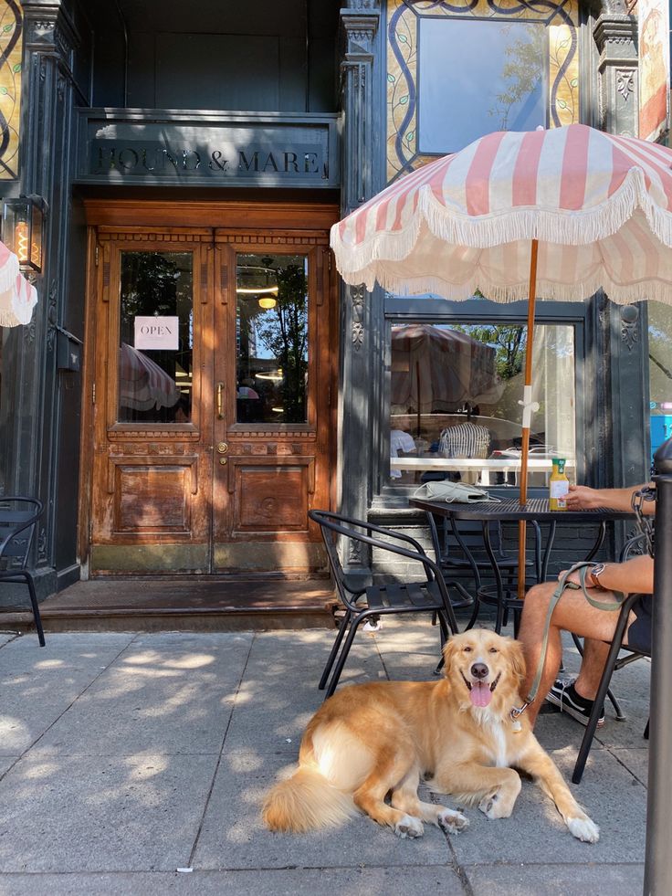 Charming Cafe Design Invites Relaxation and Social Interaction with Elegant Vintage Details and Outdoor Seating