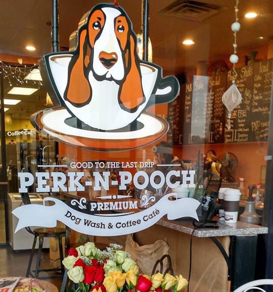 Pet-Friendly Cafe Design Balances Traditional Charm with Playful Aesthetics