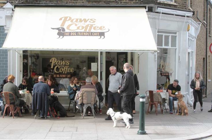 Charming Dog-Friendly Cafe Fosters Community with Welcoming Atmosphere and Lively Outdoor Seating