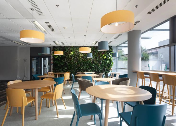 Modern Cafe Design: A Harmony of Natural Elements and Contemporary Vibrancy