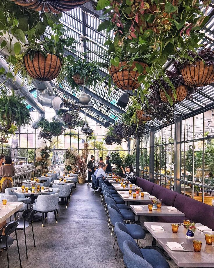 Modern Greenhouse Cafe: A Vibrant, Nature-Infused Gathering Space