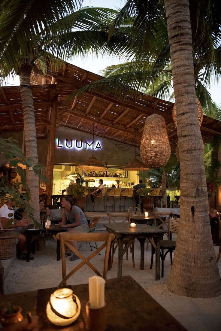 Tropical-Inspired Cafe Design Blends Rustic Charm with Nature's Serenity