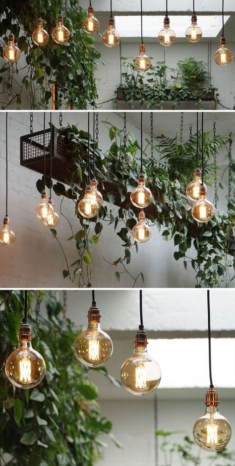 Inviting Cafe Design with Vintage Pendant Lighting and Lush Greenery Creates a Cozy Atmosphere