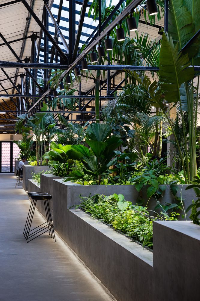 Modern Cafe Design: A Serene Blend of Industrial Aesthetics and Lush Greenery