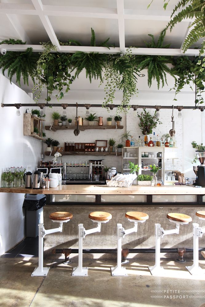 Inviting Cafe Design Blends Rustic Charm with Modern Elegance and Nature