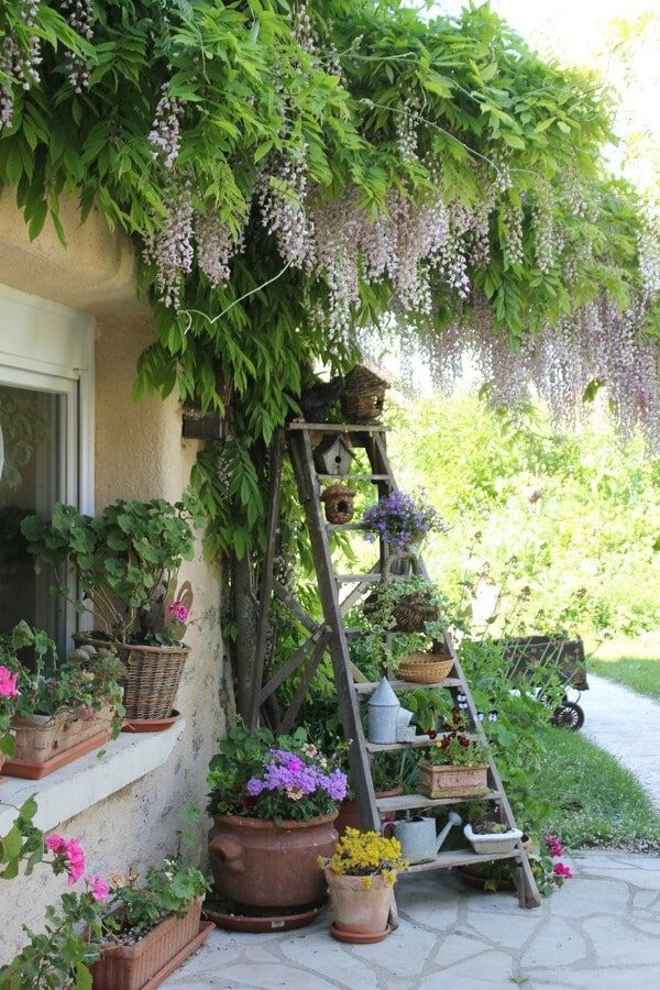 Charming Rustic Cafe Design Features Inviting Outdoor Oasis with Lush Greenery and Vibrant Blooms