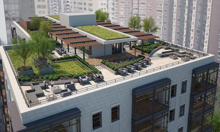 Urban Oasis: A Vibrant Rooftop Space Blending Greenery, Comfort, and Social Interaction