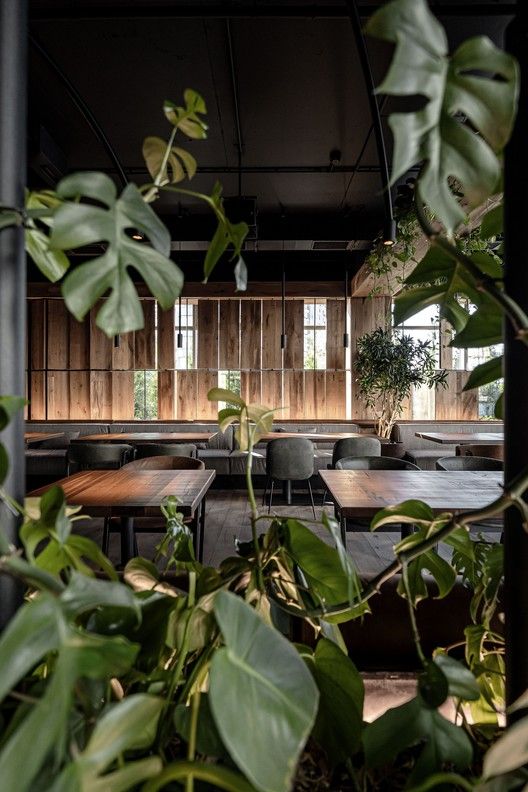 Harmonious Cafe Design Fusing Natural Elements with Modern Aesthetics