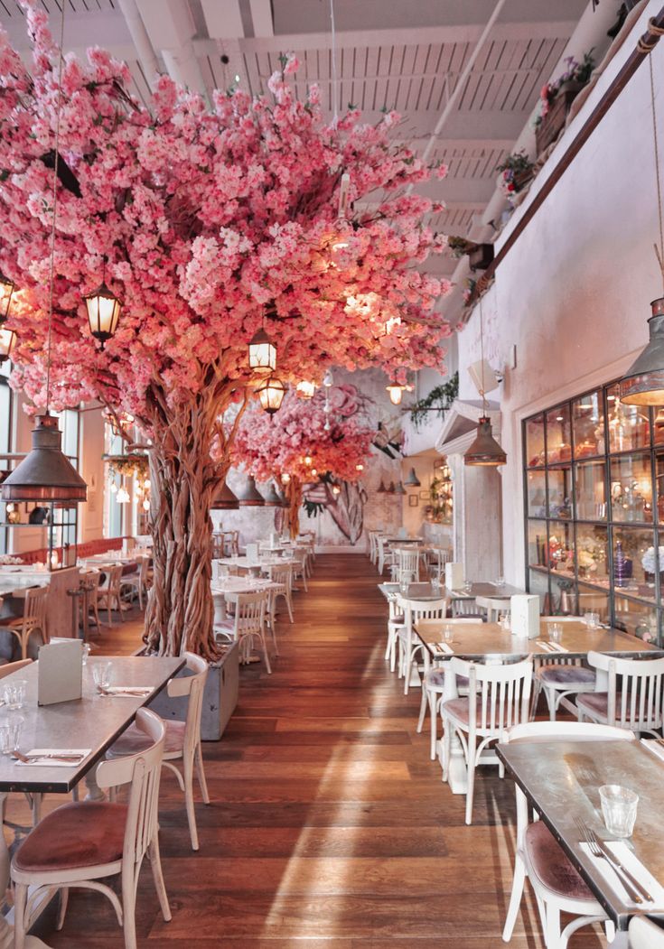 Enchanting Cafe Design Blending Warmth and Whimsy with Cherry Blossoms and Inviting Ambiance