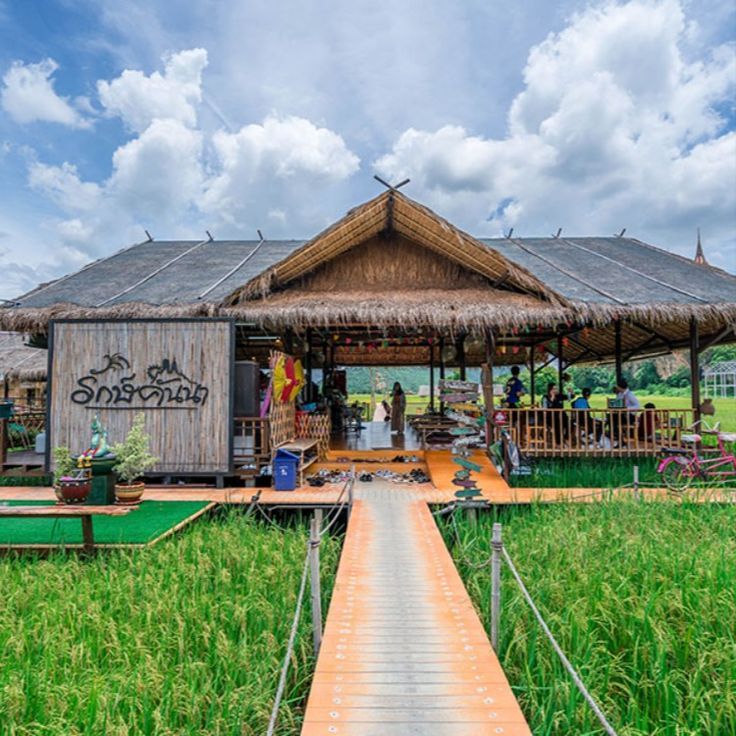 Charming Thatched-Roof Cafe Enhances Dining Experience with Rustic Design Amidst Lush Rice Fields