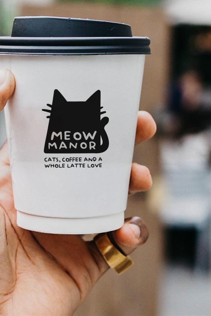 Cozy Cat Cafe: A Whimsical Retreat for Coffee Lovers