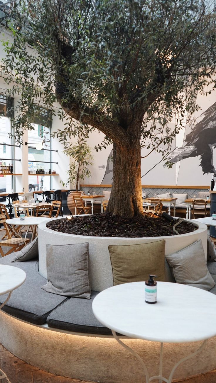 Cafe Design Highlights a Mature Tree Centerpiece for a Cozy, Natural Ambiance