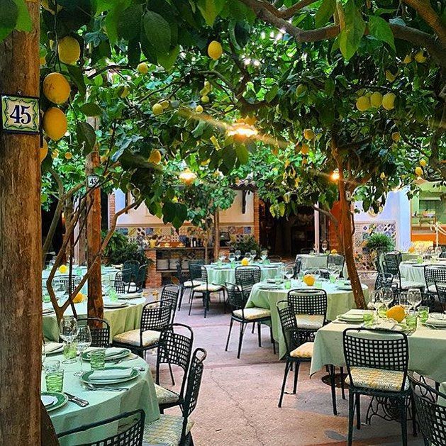 Charming Open-Air Cafe: A Serene Dining Experience Amidst Lush Greenery and Vibrant Lemon Trees