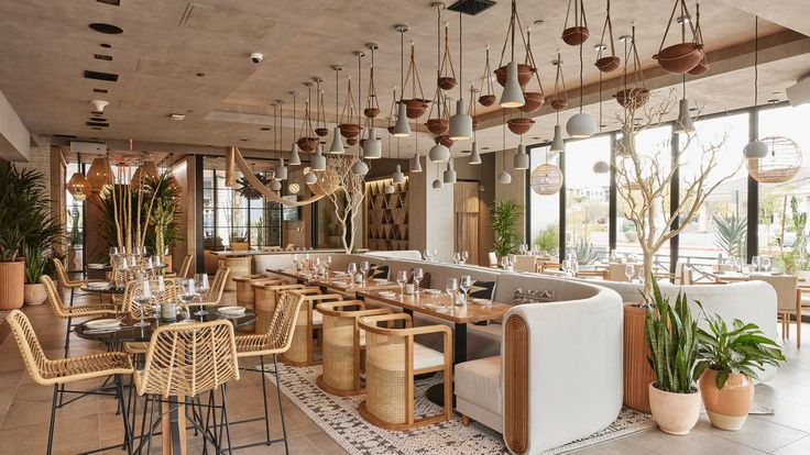 Contemporary Cafe Blends Natural Elements and Modern Aesthetics for an Inviting Atmosphere